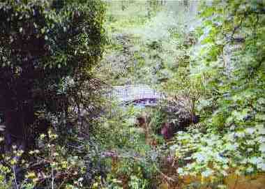 The Duchess' Footbridge