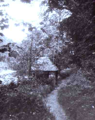 The Duchess' bower in Buccleuch Lodge grounds in 1912