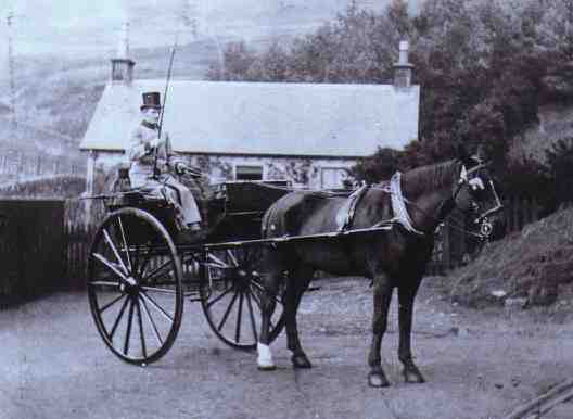 John Wilson, coachman waits for his passenger in 1910