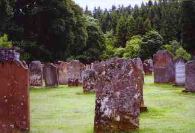 Wauchope Cemetery with its ancient headstones